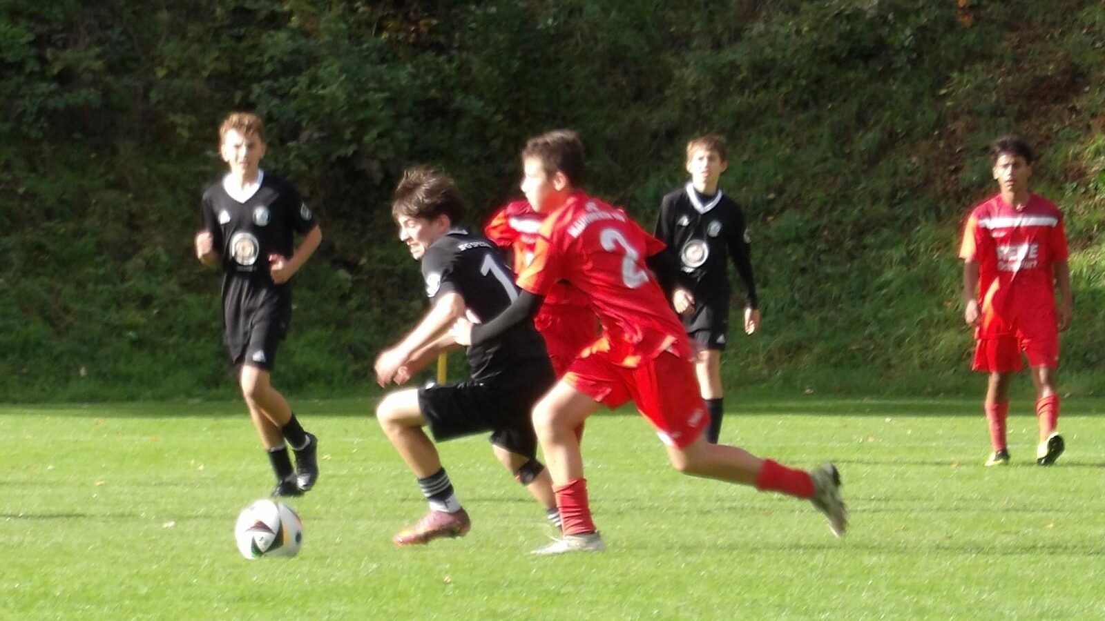 Maindreieck Süd (10)